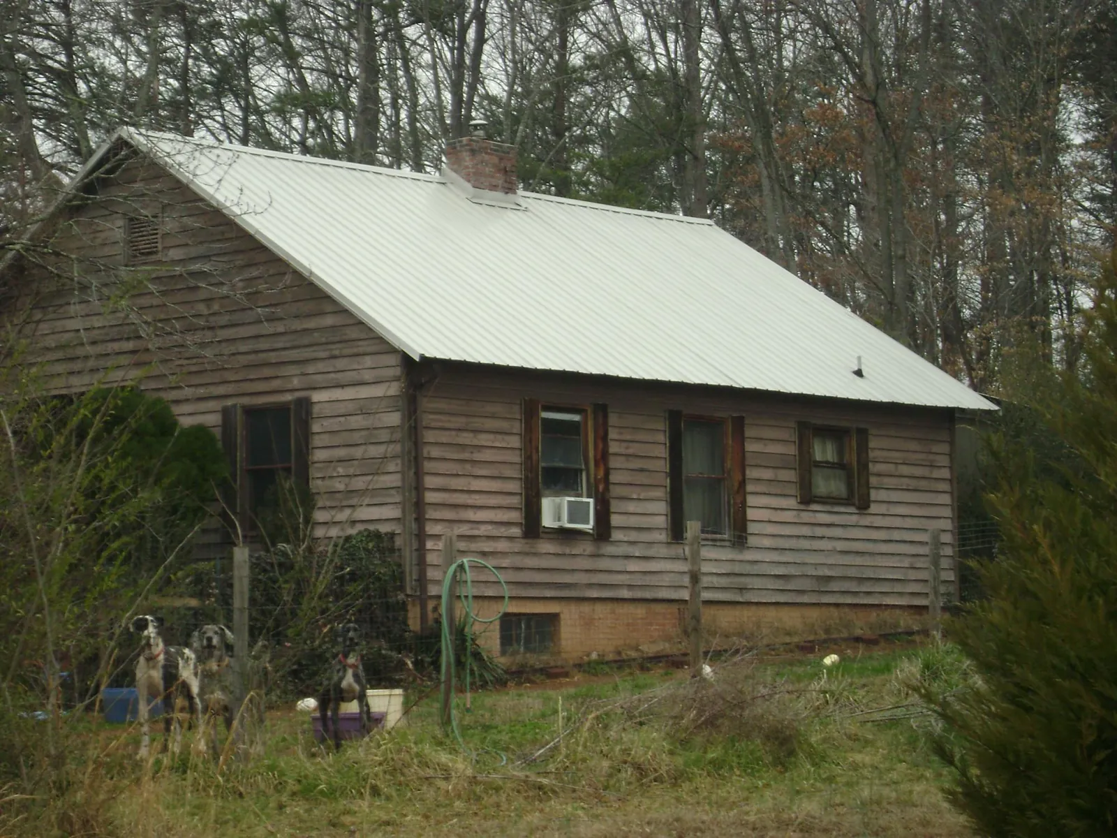 White metal roof on an old wood sided farmhouse, from a Metal Roof Installation job in Tokeland
